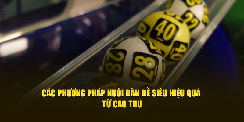 Các phương pháp nuôi dàn đề siêu hiệu quả từ cao thủ